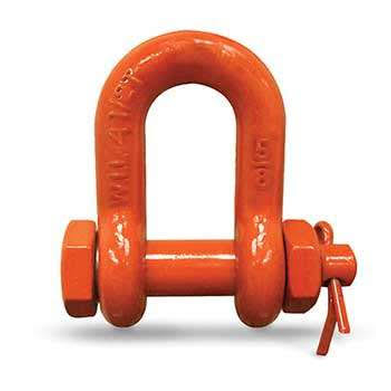 Chain Shackle